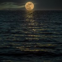 Лунная дорожка :: Евгений Голубев