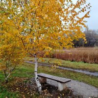 Самара. Парк Воронежские озера :: Надежда 