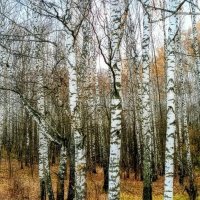 Октябрь :: Михаил Столяров Октябрь :: Михаил Столяров