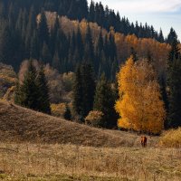 Осеннее спокойствие :: Алексей Большаков