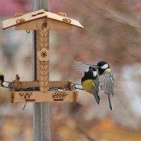 Обнимашки. :: Татьяна Бравая