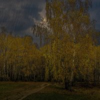 Осень :: Aleksey Afonin