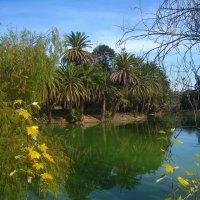 В парке Родо, в Монтевидео, столице Уругвая. :: unix (Илья Утропов)