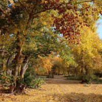 Очей очарованье :: Олегъ Петрович