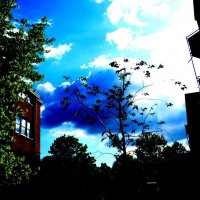 Осень 31 :: Алексей Кузнецов