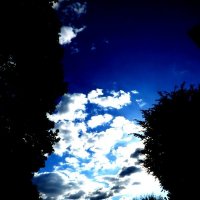 Осень 34 :: Алексей Кузнецов