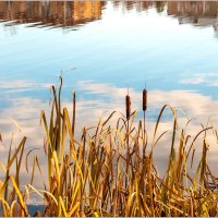 Поздняя осень ... :: Aquarius - Сергей