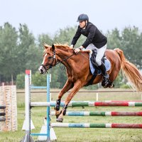 Конкур :: SanSan 