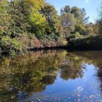 Осеннее. :: Ольга 