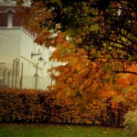 Листопад продолжается, деревья оголяются. :: Татьяна Помогалова