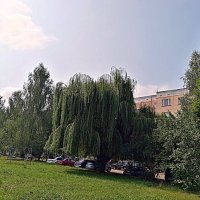 Мценск летом. :: Владимир Драгунский