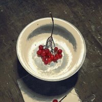 калина красная :: Николай Семёнов