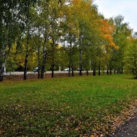 Новочебоксарск. Октябрьская аллея улицы 10-й Пятилетки. :: Пётр Чернега