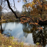 Осень :: MILAV V