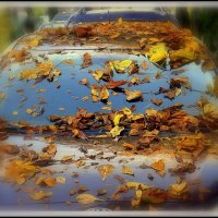 ...но уходят листья с веток безвозвратно.... :: Aleksandr Gal
