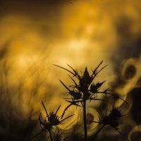 про настроение... :: Осень