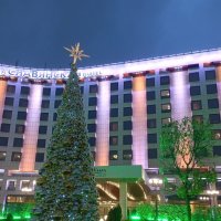 Уже стоят елки в Москве :: Елена Семигина