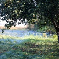 Иней, утро октября :: ZNatasha - Иней, утро октября :: ZNatasha -