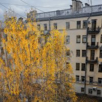 Питер.. Двор... Осень... :: ВЛАДИМИР 