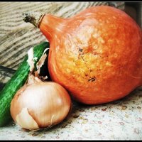 * * * :: Руслан 