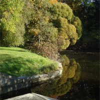 Бабье лето в мехах :: sv.kaschuk 