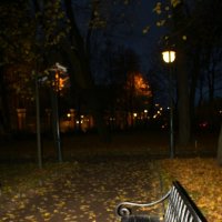 Прощание с октябрём в Михайловском саду :: Наталья Герасимова Прощание с октябрём в Михайловском саду :: Наталья Герасимова