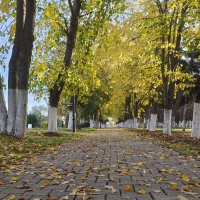 Осень шепчет сны :: Валерий Ткаченко