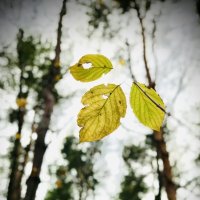 *** :: Любовь *** :: Любовь