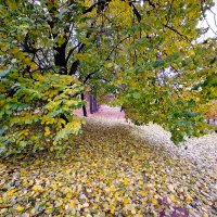 Осень :: Наталья 