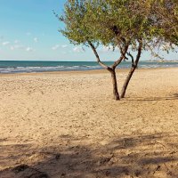 Осеннее лето. :: KEMI NOLOV Осеннее лето. :: KEMI NOLOV