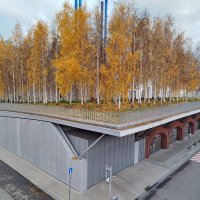 Висячие леса :: Александр Чеботарь