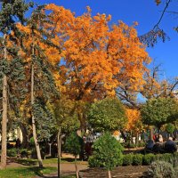 *** :: Игорь Kуленко