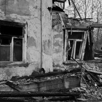 на костях хорошо растут человейники :: Артём 