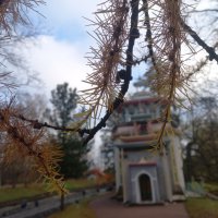 Скрипучая беседка :: Сапсан 