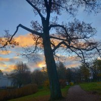 Рассвет :: Сапсан 