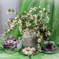 Снежноягодник :: Людмила Павловна Крышковец