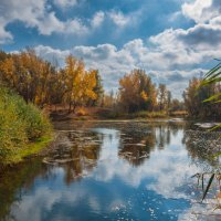 Природный парк Волго-Ахтубинская пойма. :: Дина Евсеева