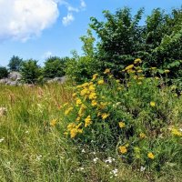 Прогулка по променаду Круизного терминала :: Veera V Прогулка по променаду Круизного терминала :: Veera V