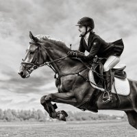 Конкур :: SanSan 