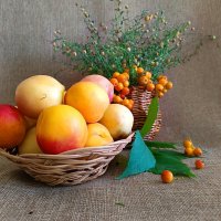 Дары осени :: Любовь Сахарова