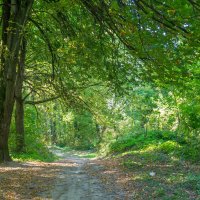 ___ :: Yuriy V ___ :: Yuriy V