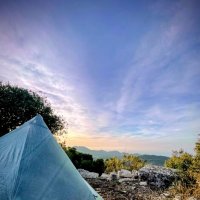 Утро :: Георгиевич