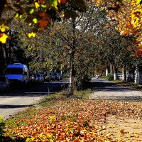 Осенняя аллея :: Юрий Гайворонскiий