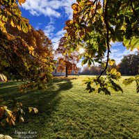 Осеннее солнышко :: Евгений 
