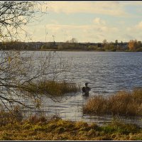 *** :: Aleksandr Gal