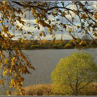 *** :: Aleksandr Gal