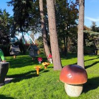 Диво - остров. :: Ольга 