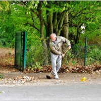 УБОРКА... :: Elvira E. 