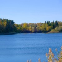 Лесное озеро :: Рита Симонова Лесное озеро :: Рита Симонова