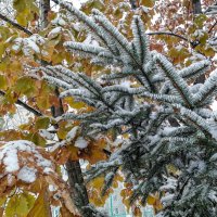 Началось! :: Игорь Волков